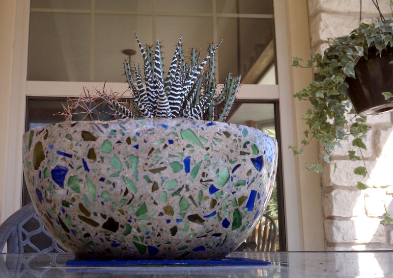 concrete-bowl-with-cacti