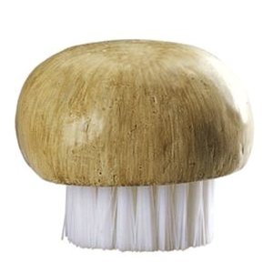 mushroom-brush