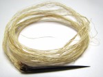 Agave-Spine-and-Fibers-01